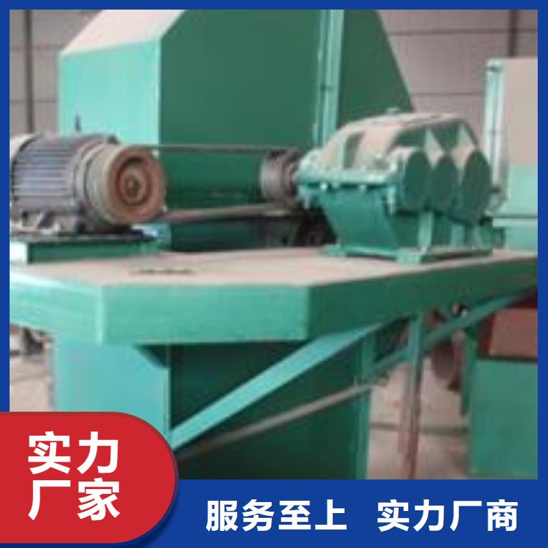 TD钢丝胶带型斗式机全国发货