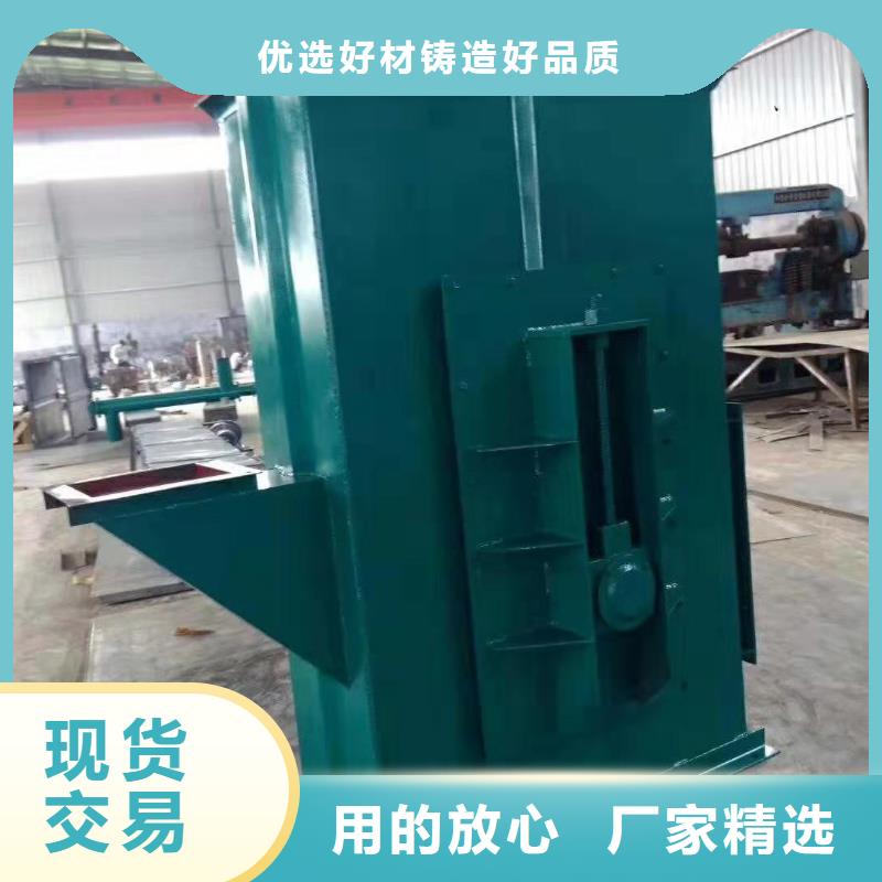 TD钢丝胶带型斗式机全国发货