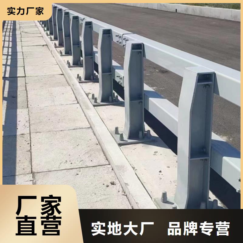 规格全的桥梁护栏厂家厂家