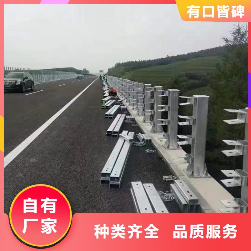 河道护栏精挑细选好货