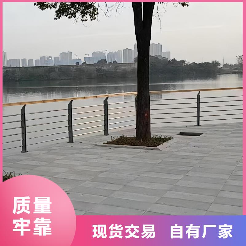 河道灯光护栏按客户要求定制电话