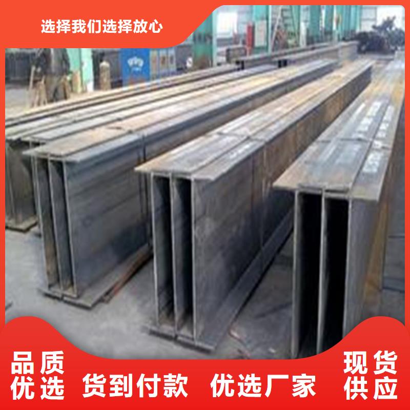 H型钢Q345BH型钢敢与同行比服务