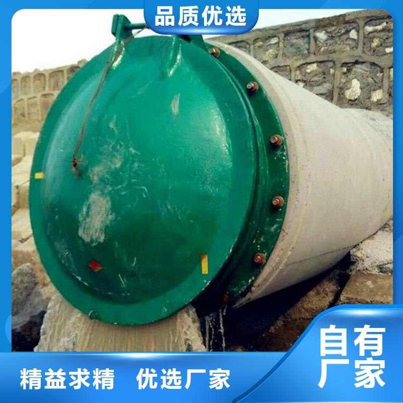 铸铁闸门-扇形闸门实力优品