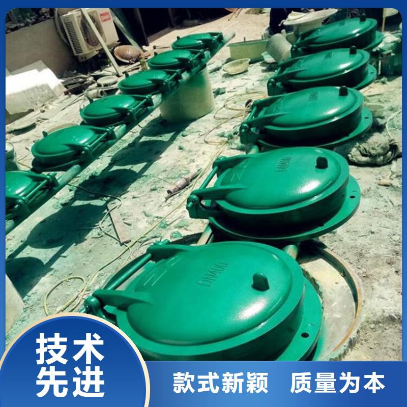 铸铁闸门 清污机可放心采购