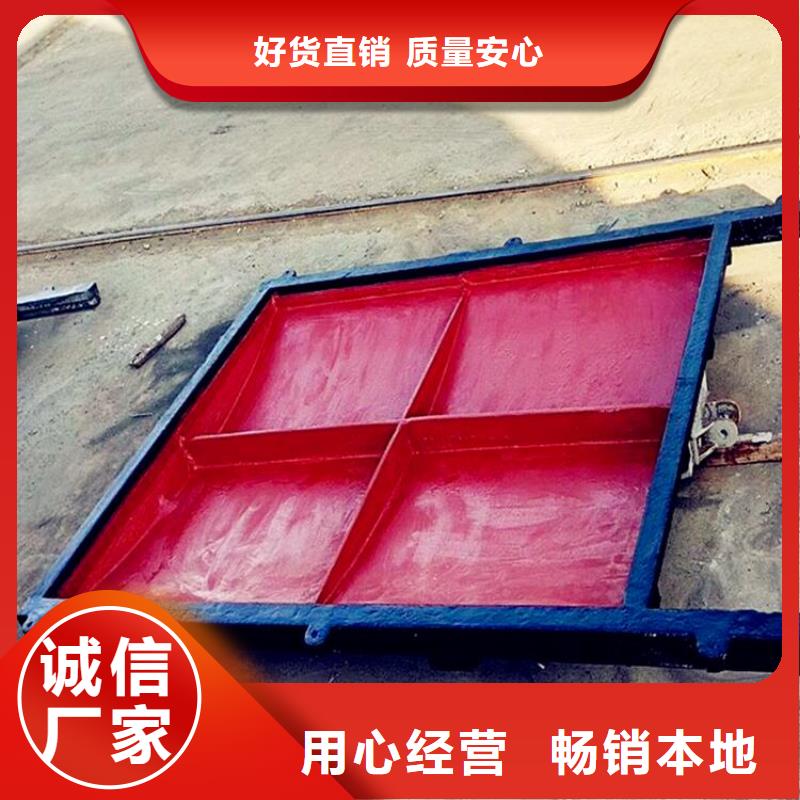 铸铁闸门_不锈钢清污机低价货源