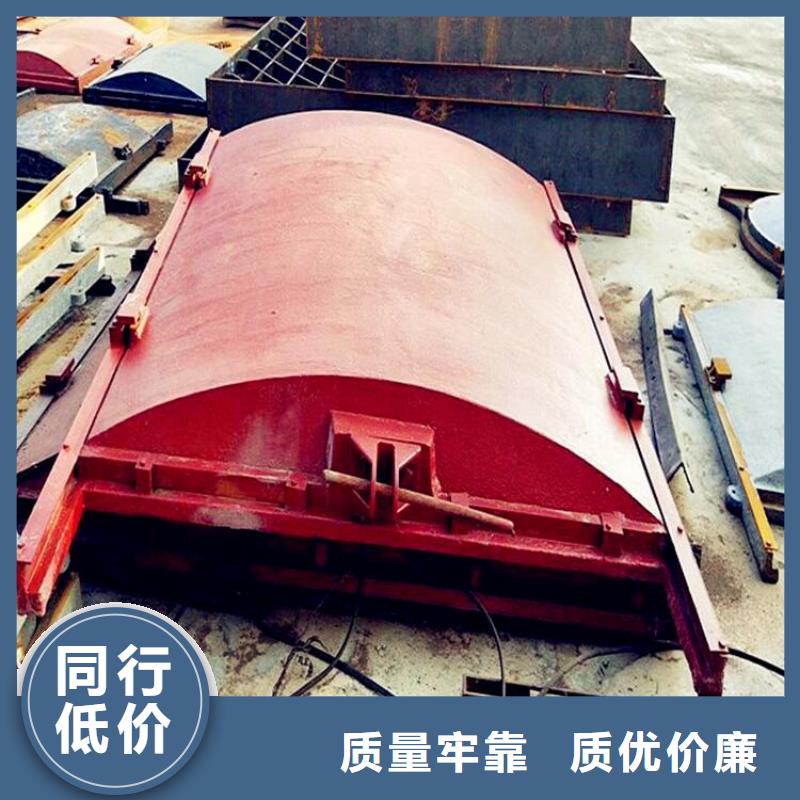 铸铁闸门卷扬启闭机用心经营