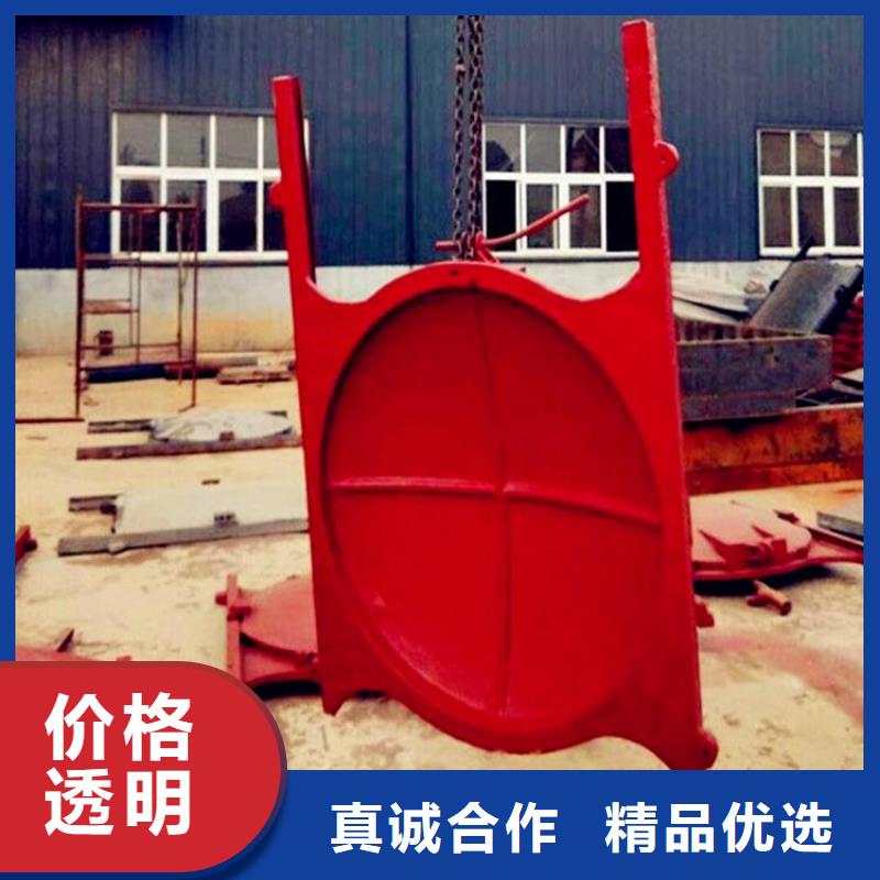 铸铁闸门,拦污栅源头厂源头货