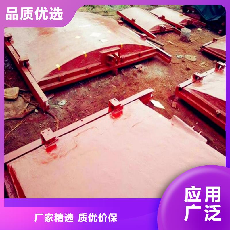 铸铁闸门品质服务