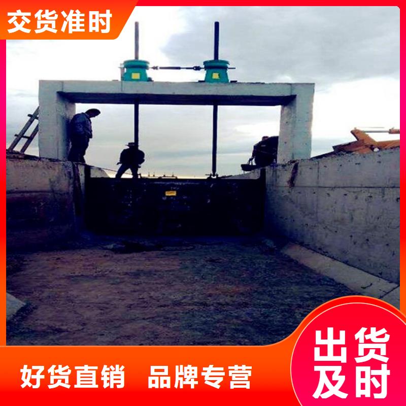 铸铁闸门手摇卷扬启闭机准时交付