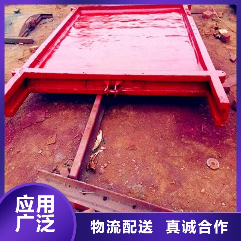 双止水铸铁闸门