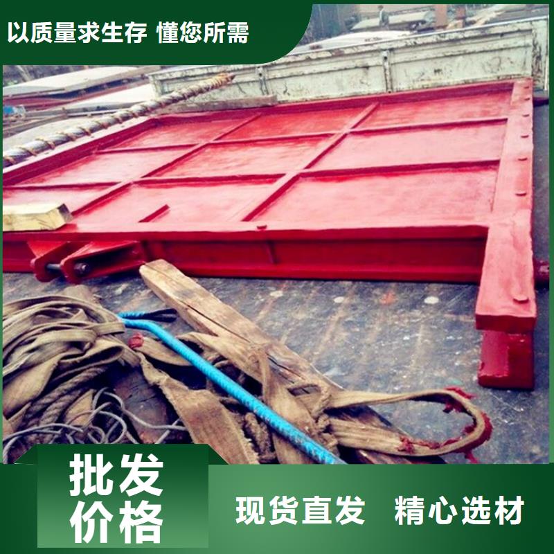 铸铁闸门,【拦污栅】原厂制造
