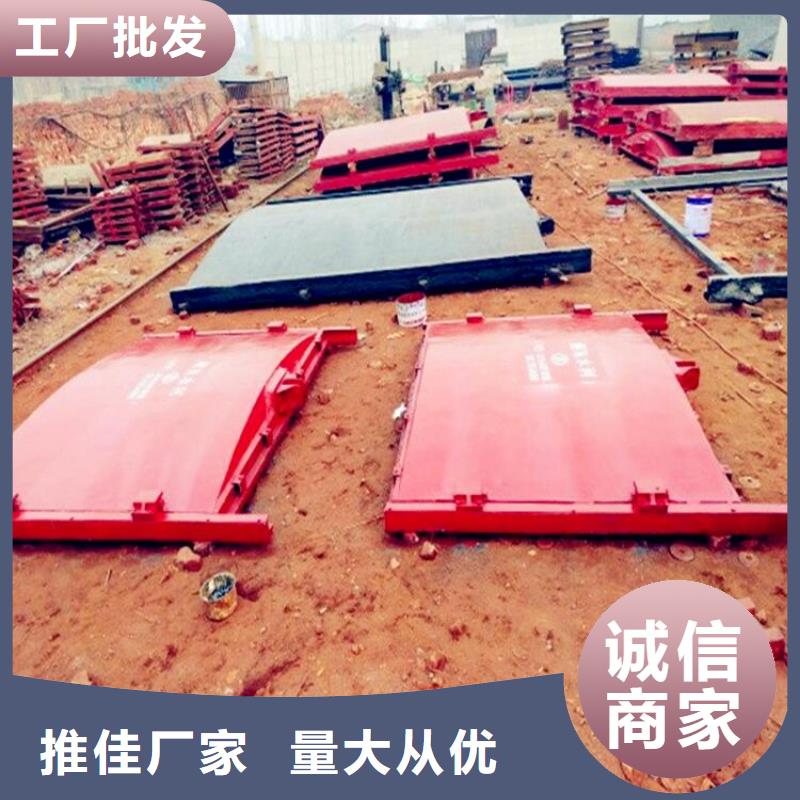 双止水铸铁闸门