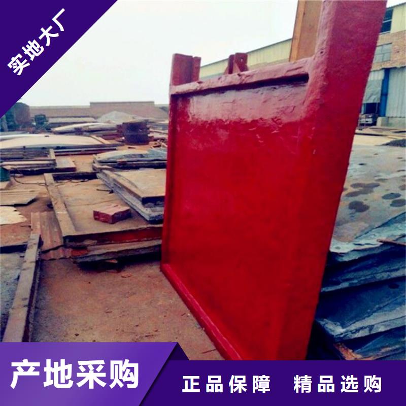铸铁闸门-河道闸门厂诚信经营