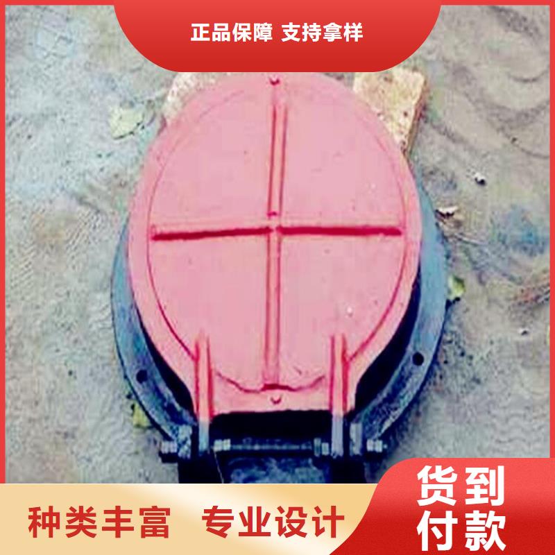 铸铁闸门 钢制拍门标准工艺