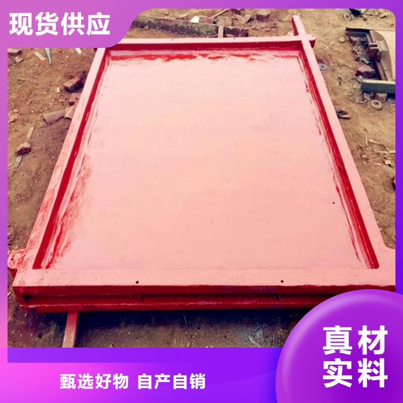 【铸铁闸门 不锈钢拍门免费获取报价】