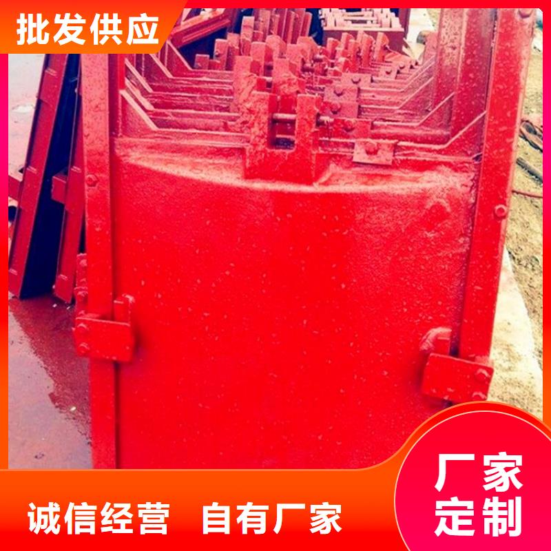 铸铁闸门诚信可靠