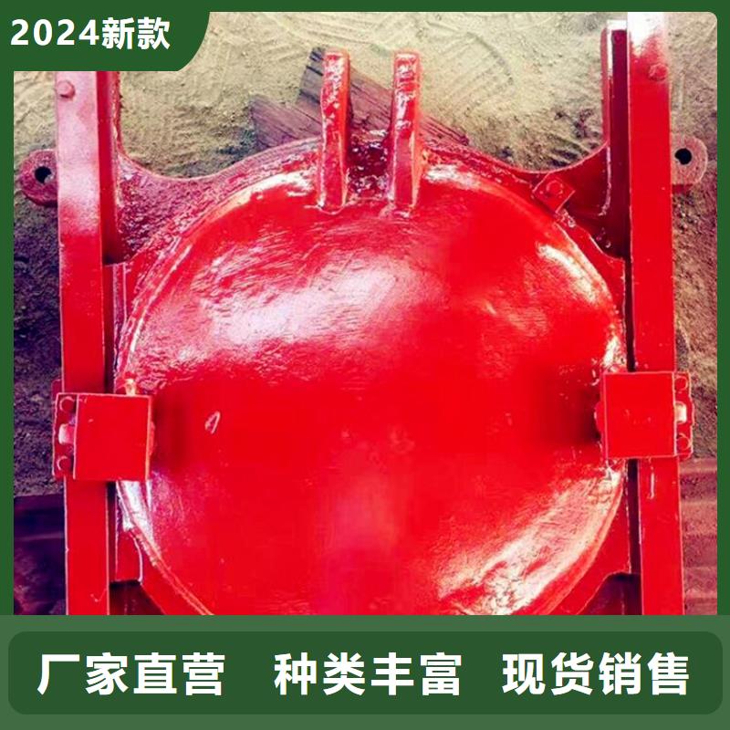 铸铁闸门液压折叠坝诚信经营