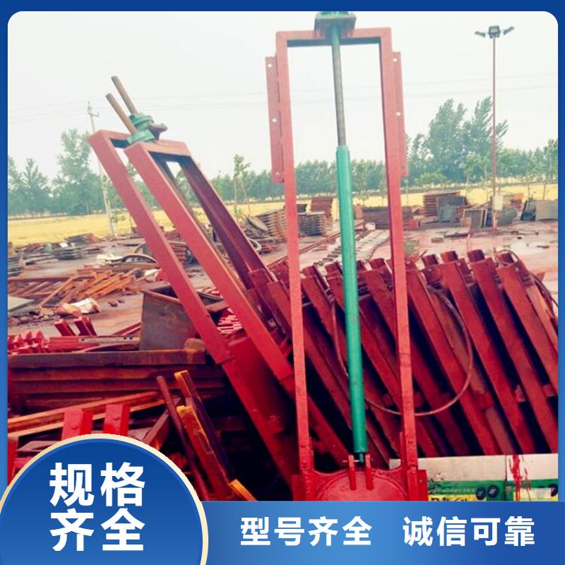 铸铁闸门,拦污栅源头厂源头货