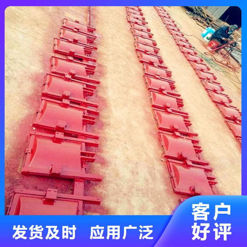 双止水铸铁闸门