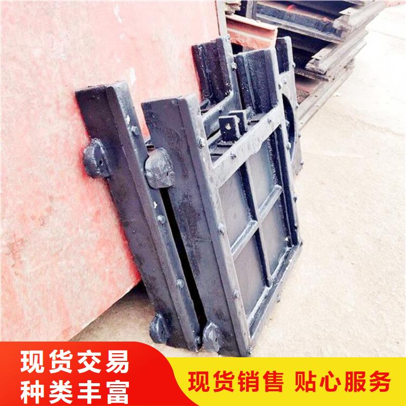 铸铁闸门螺杆启闭机多年行业经验