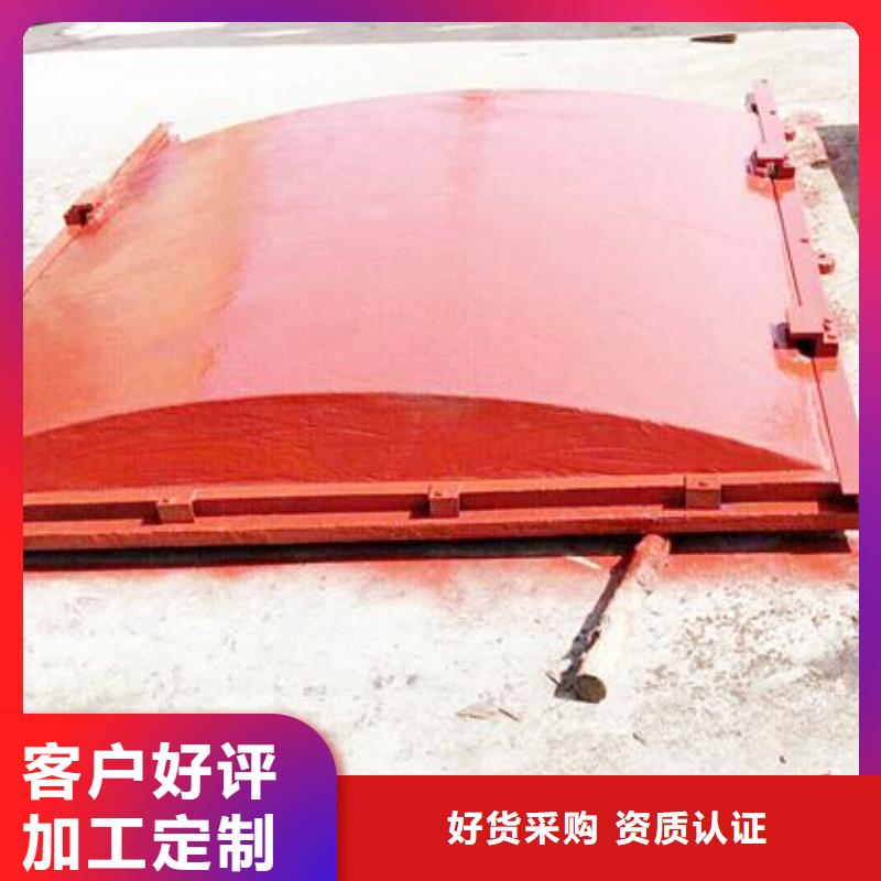 铸铁闸门卷扬启闭机用心经营