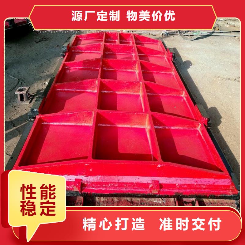 铸铁闸门-不锈钢清污机供您所需