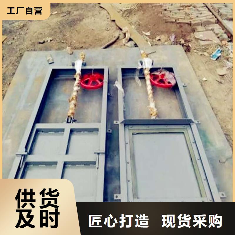  铸铁闸门品质服务