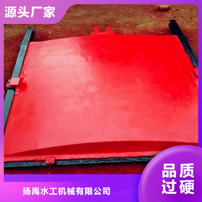 铸铁闸门液压启闭机细节展示