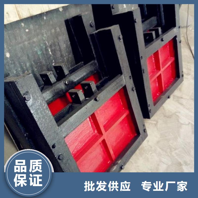 铸铁闸门回转式清污机用心做产品