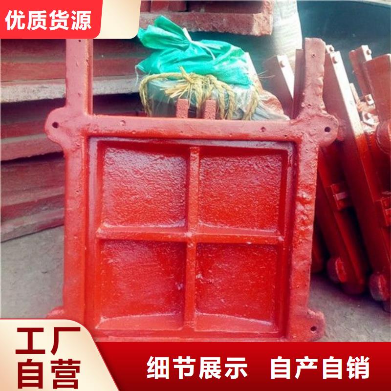 铸铁闸门螺杆启闭机材质实在