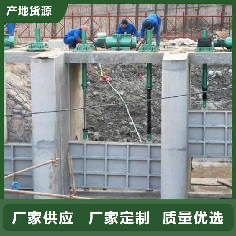螺杆启闭机双吊点启闭机种类丰富