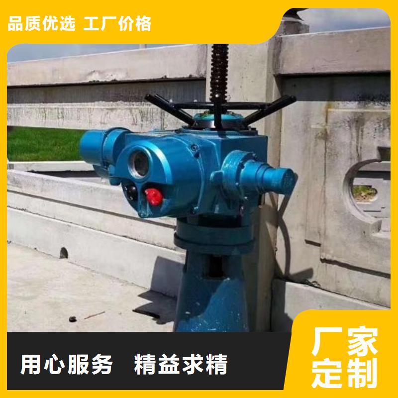 螺杆启闭机_铸铁闸门厂家厂家直销售后完善