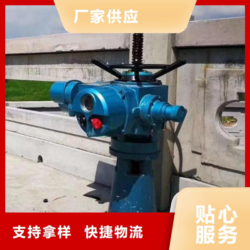 螺杆启闭机专业设计