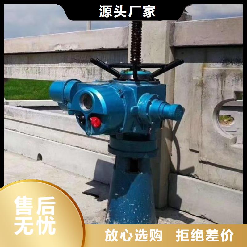 螺杆启闭机-球墨铸铁闸门精益求精