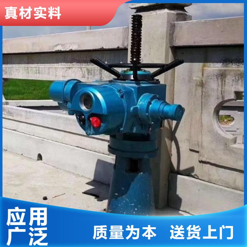  螺杆启闭机严格把关质量放心