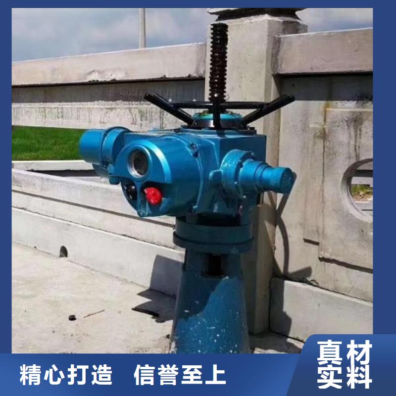 螺杆启闭机钢坝闸门专业品质