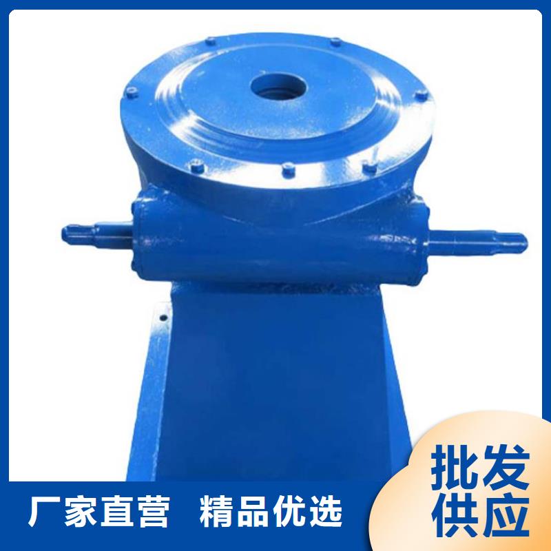  螺杆启闭机保障