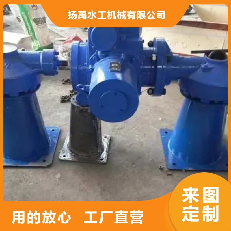 螺杆启闭机-球墨铸铁闸门精益求精