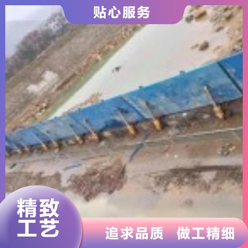 翻板闸门钢制拍门来图来样定制