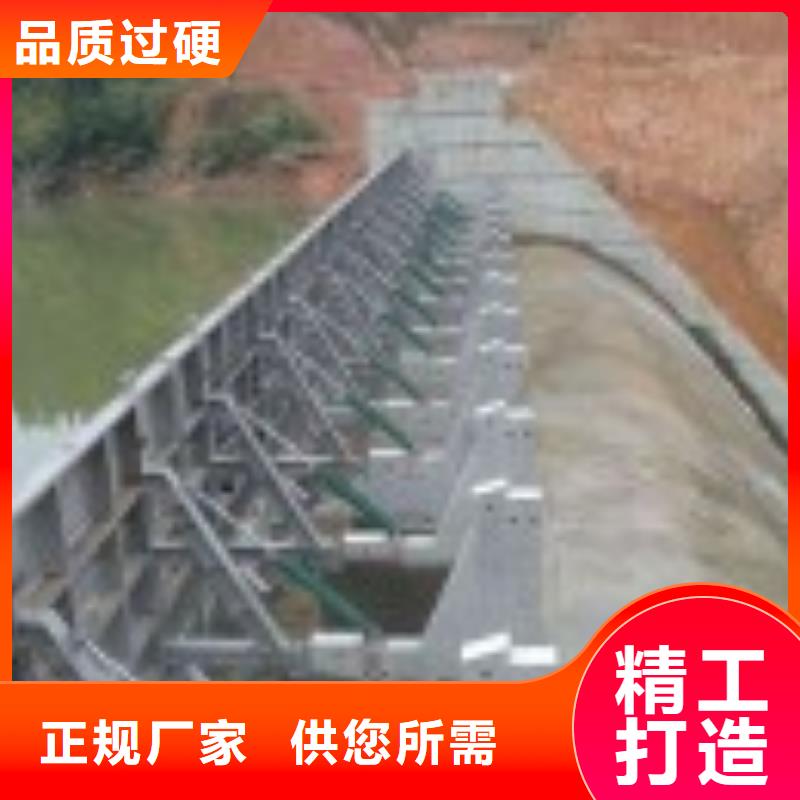 【翻板闸门,玻璃钢拍门按需定做】