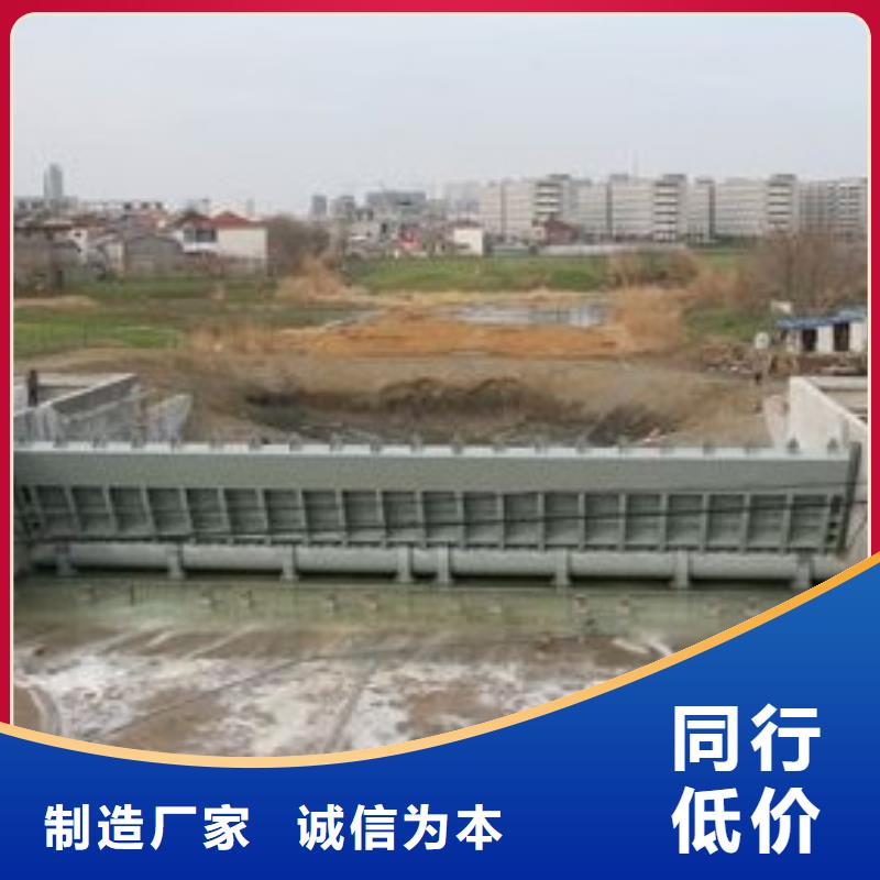 钢制闸门公司