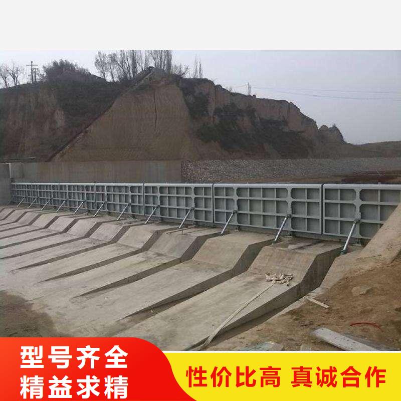 翻板闸门专业信赖厂家