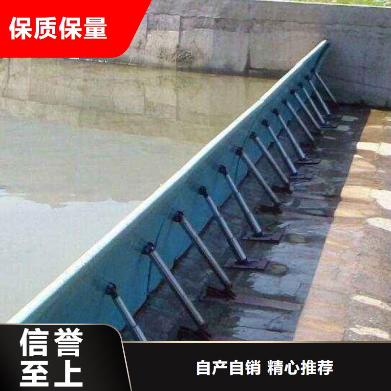 翻板闸门钢制闸门实体诚信经营