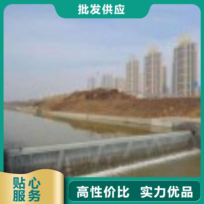 翻板闸门原厂制造