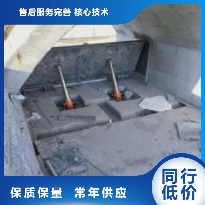 翻板闸门源头厂家直销