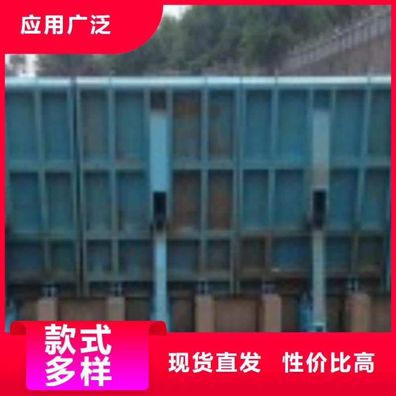 翻板闸门,拦污栅发货迅速