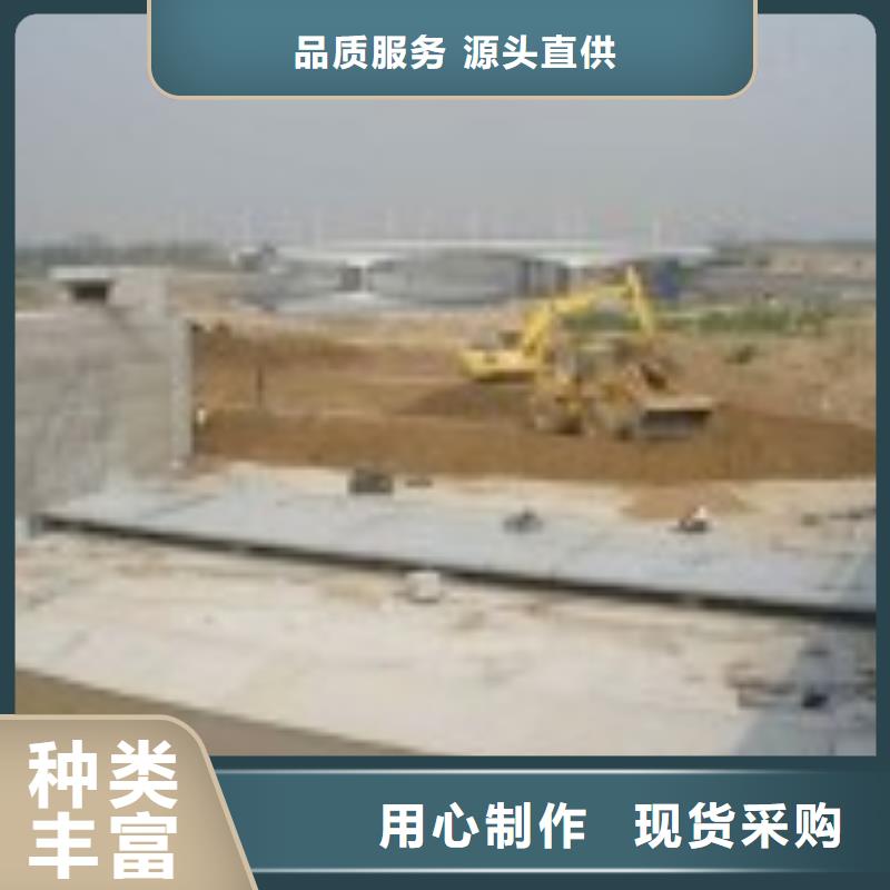 翻板闸门卷扬启闭机厂家实力才是硬道理
