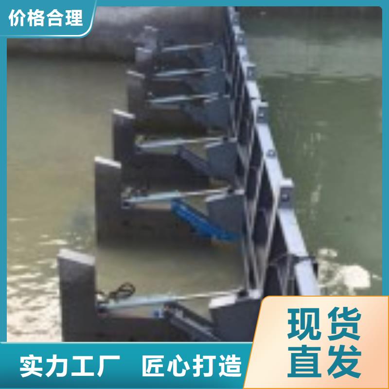  翻板闸门实力厂商