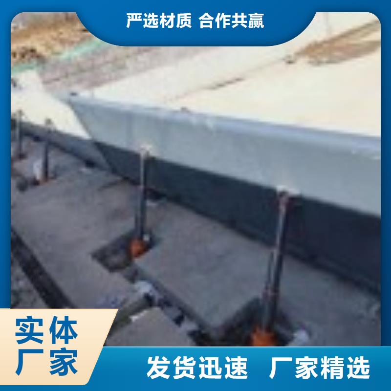  翻板闸门N年专注