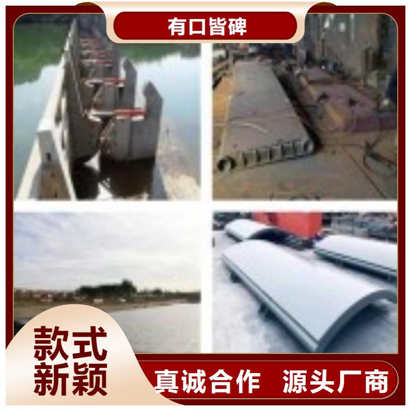 翻板闸门品质优选